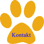 Kontakt